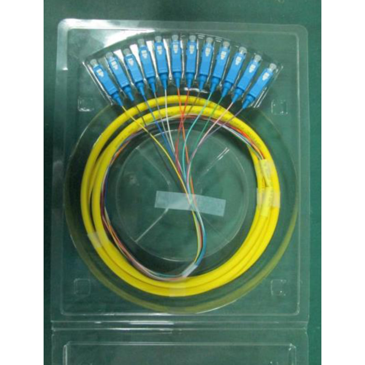 12 Core SC/APC Fan-out Pigtail